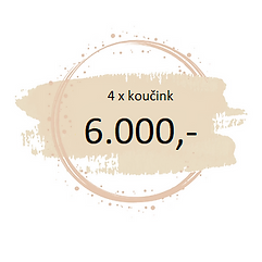 6000 Kč